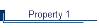 Property 1