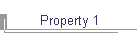 Property 1